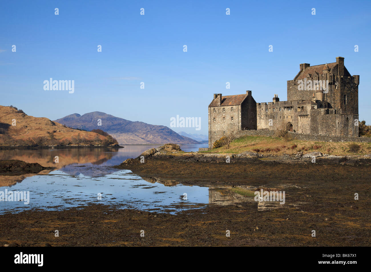 Heron Fischen in dem See an einem schönen sonnigen Frühlingstag von Eilean Donan Castle, Dornie, von Kyle of Lochalsh, Schottland Stockfoto