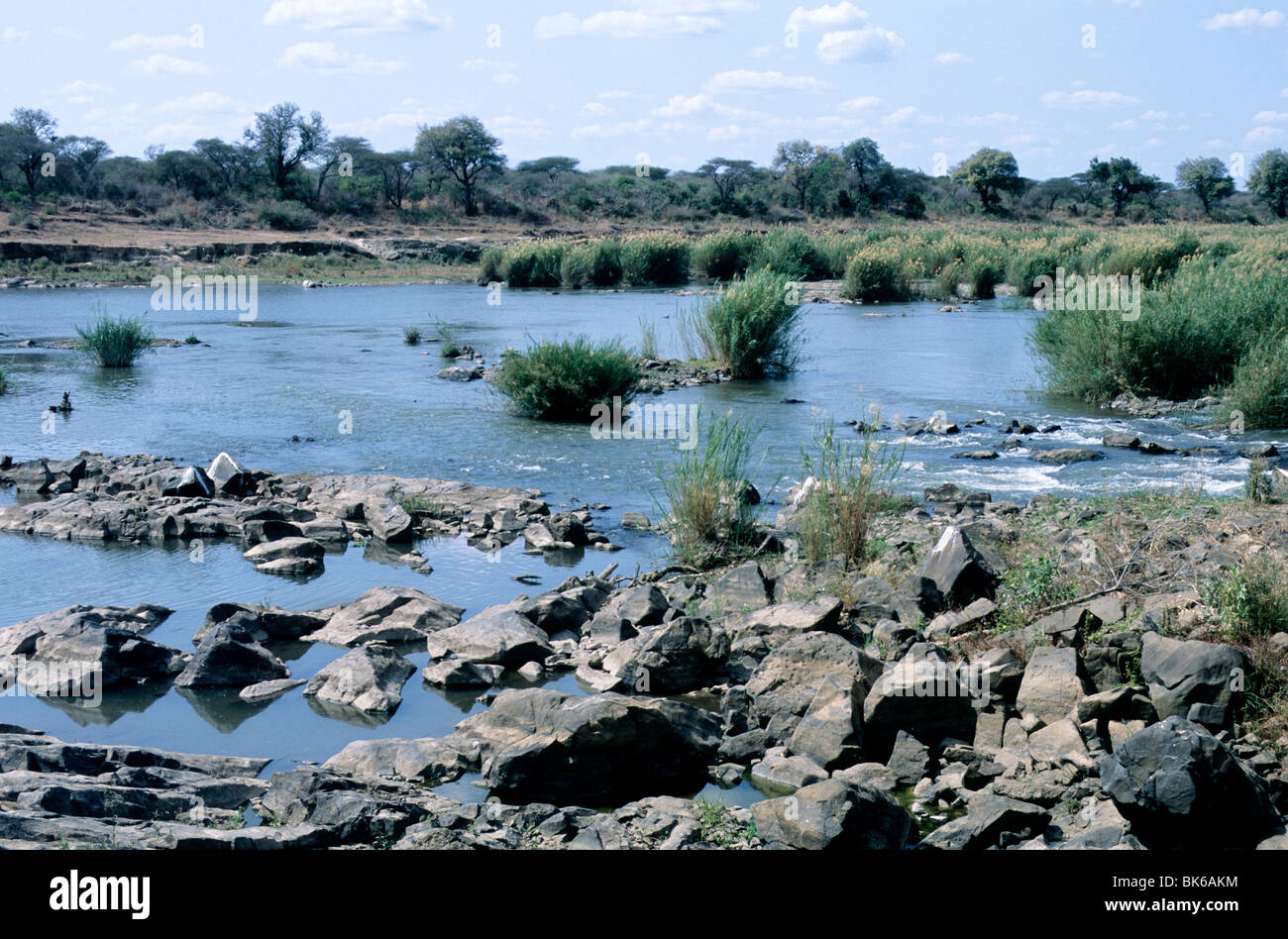 Ein Abschnitt des Crocodile River in Südafrikas Krüger Nationalpark, Provinz Mpumalanga. Stockfoto