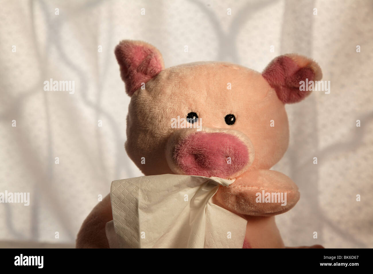 Spielzeug-Schwein mit Papiertaschentuch, Schuss in den Kopf. Stockfoto