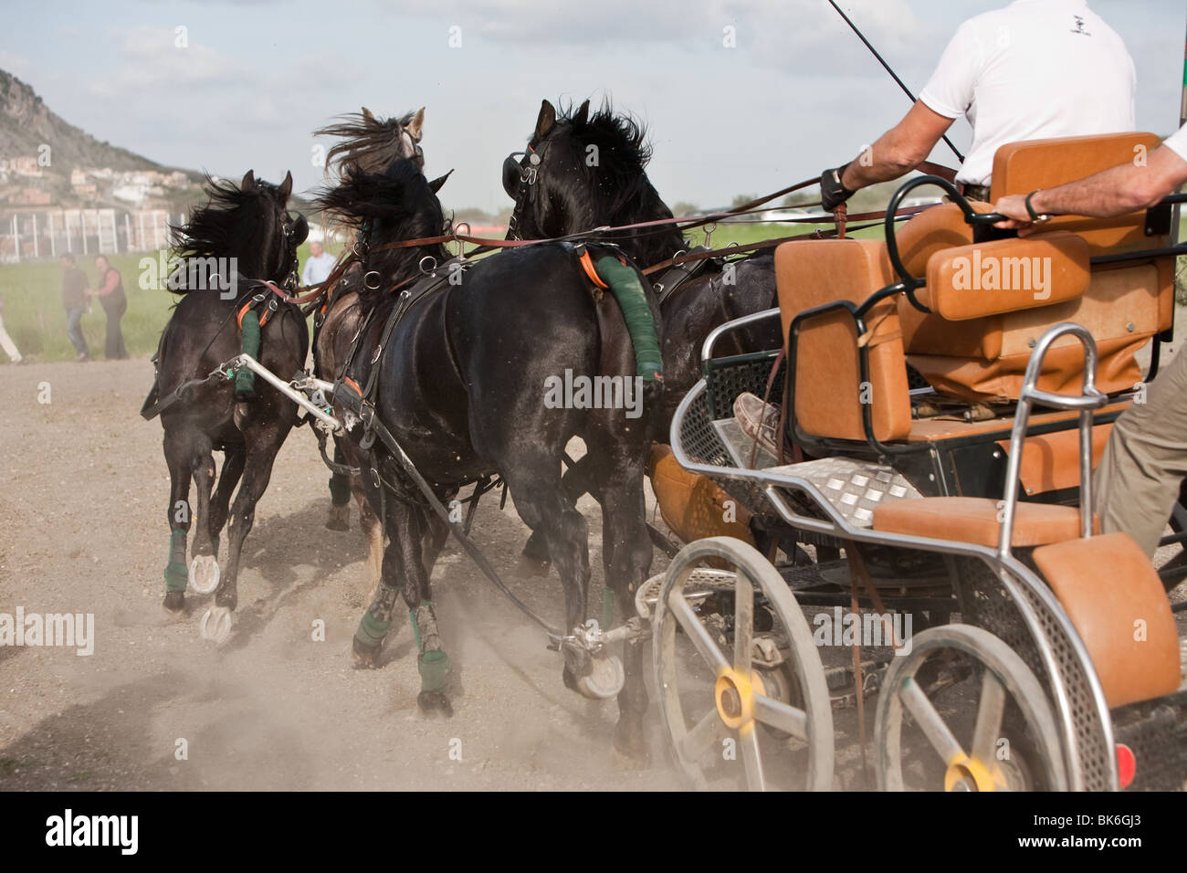 Pferdewagen, Spanien Stockfoto