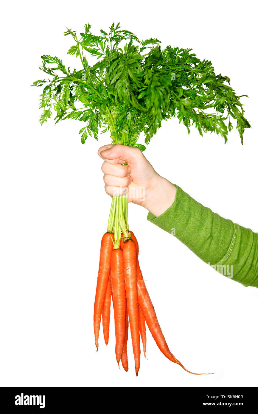 Frau Hand mit Haufen von ganzen frischen Bio-orange-Karotten Stockfoto