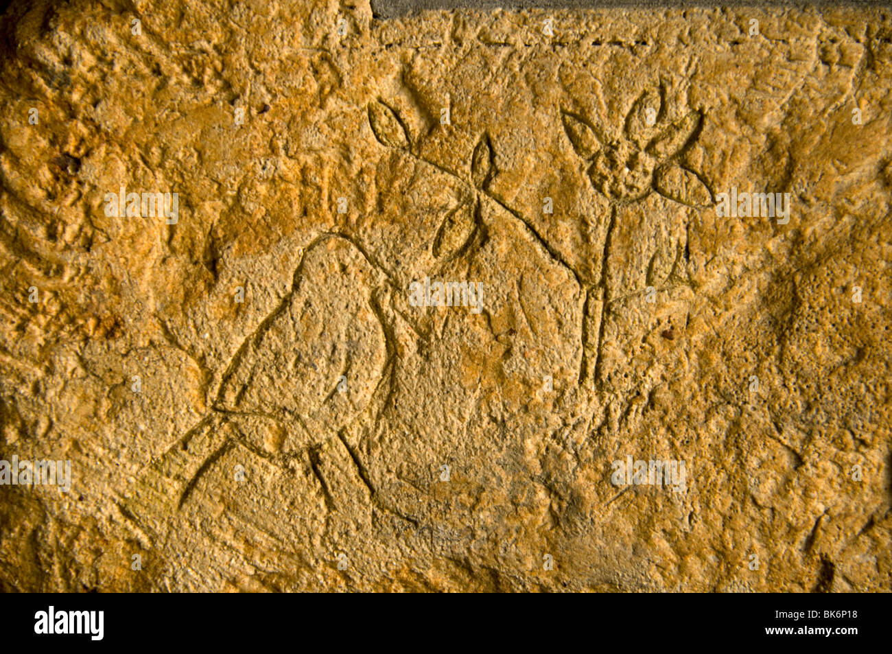 Schnitzen von Schulkindern in der Wand des Grindle Scheune, Ladybower Vorratsbehälter, Peak District, Derbyshire, England, UK Stockfoto