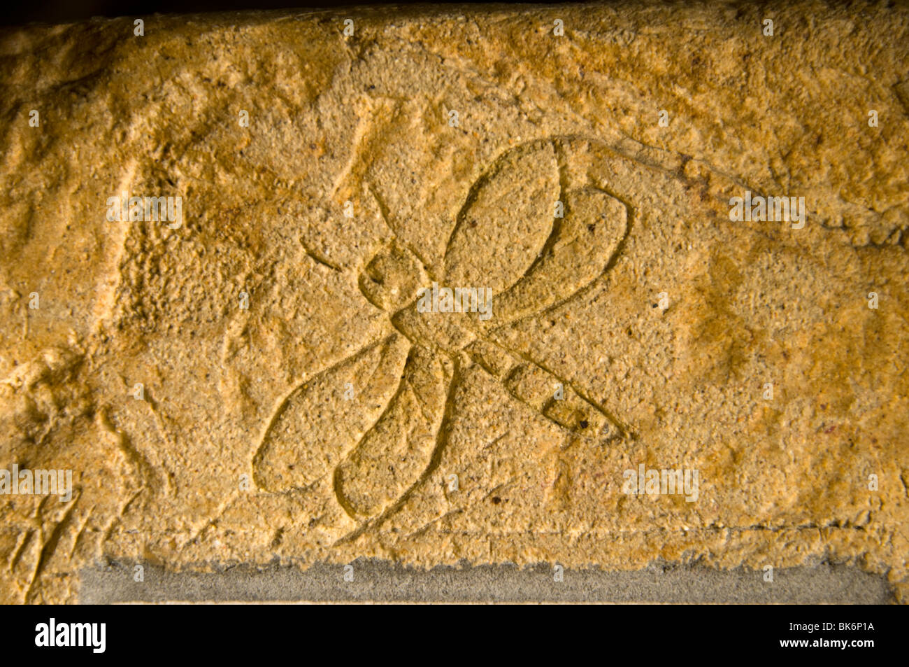 Schnitzen von Schulkindern in der Wand des Grindle Scheune, Ladybower Vorratsbehälter, Peak District, Derbyshire, England, UK Stockfoto