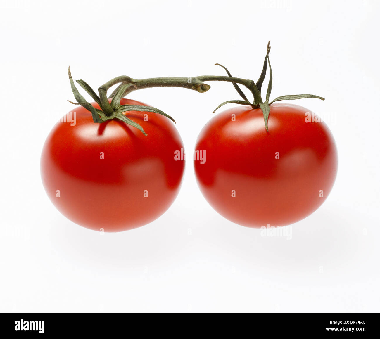 rote Cherry-Tomate mit grüner Spitze und Schaft auf weißem Hintergrund Stockfoto