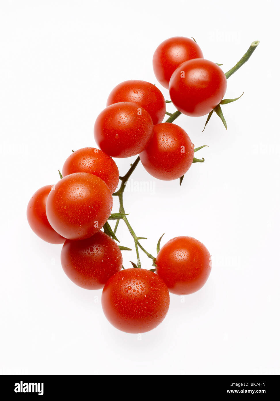 Cherry-Tomaten auf Stamm auf weißem Hintergrund Stockfoto