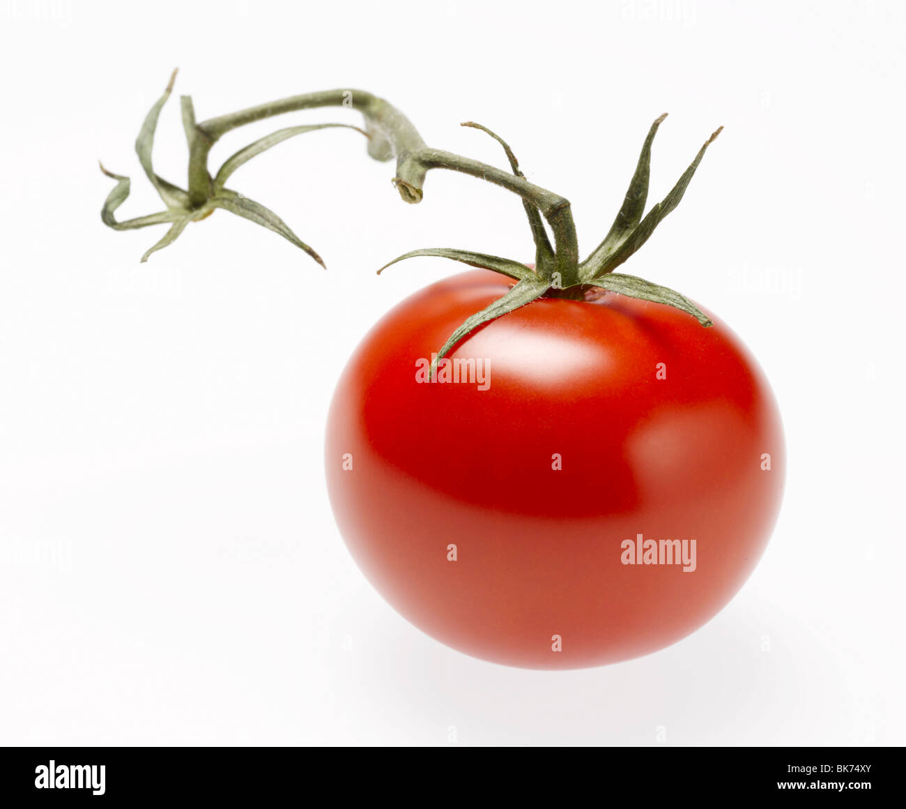 rote Cherry-Tomate mit grüner Spitze und Schaft auf weißem Hintergrund Stockfoto