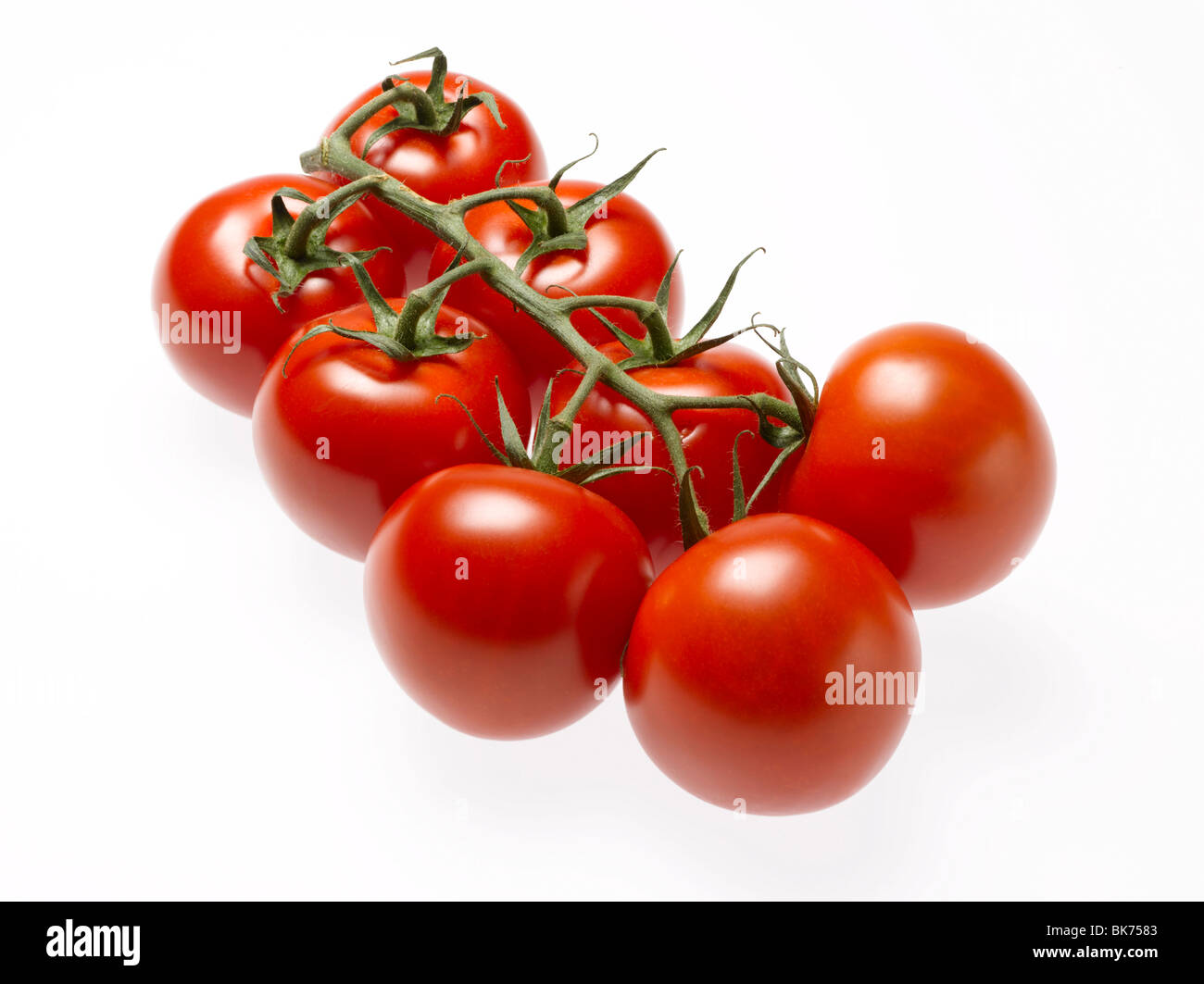 Cherry-Tomaten auf Stamm auf weißem Hintergrund Stockfoto