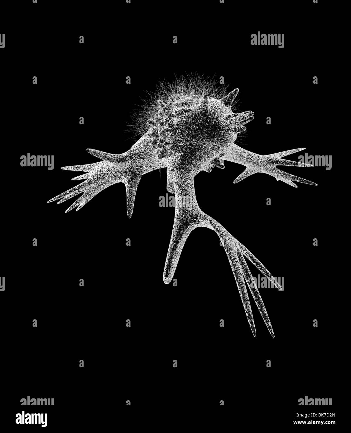 Zelle mit Pseudopodien, Kunstwerk Stockfoto