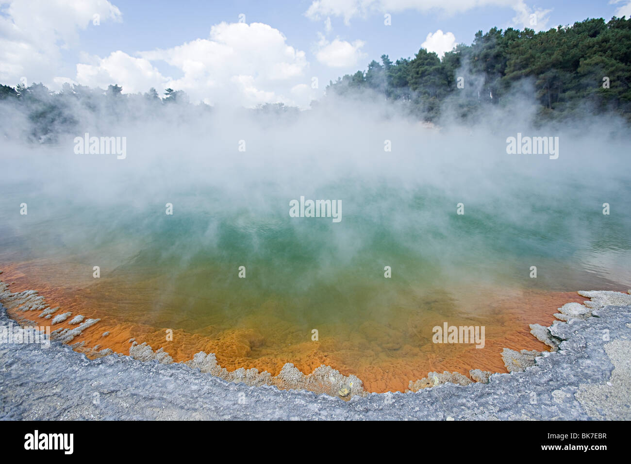 Rotorua, Waiotapu Thermalgebiet, Champagne Pool Stockfoto