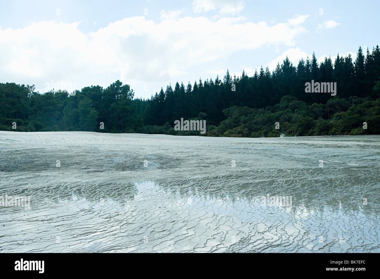 Rotorua, Waiotapu Thermalgebiet der Terrassen Stockfoto