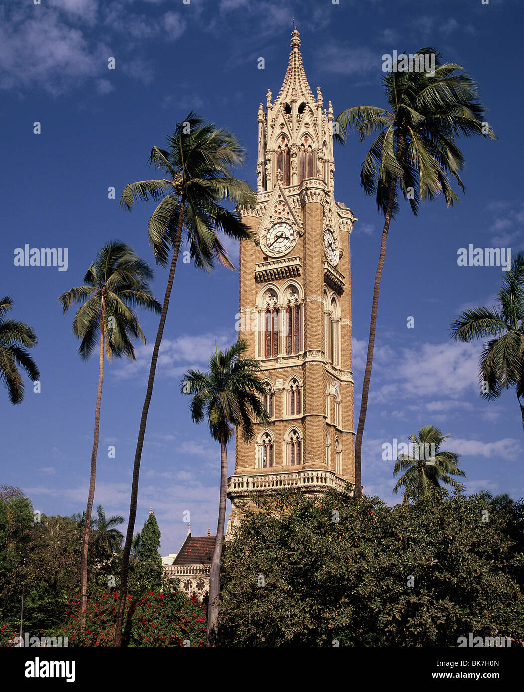 Universität Clocktower, Mumbai, Indien, Asien Stockfoto