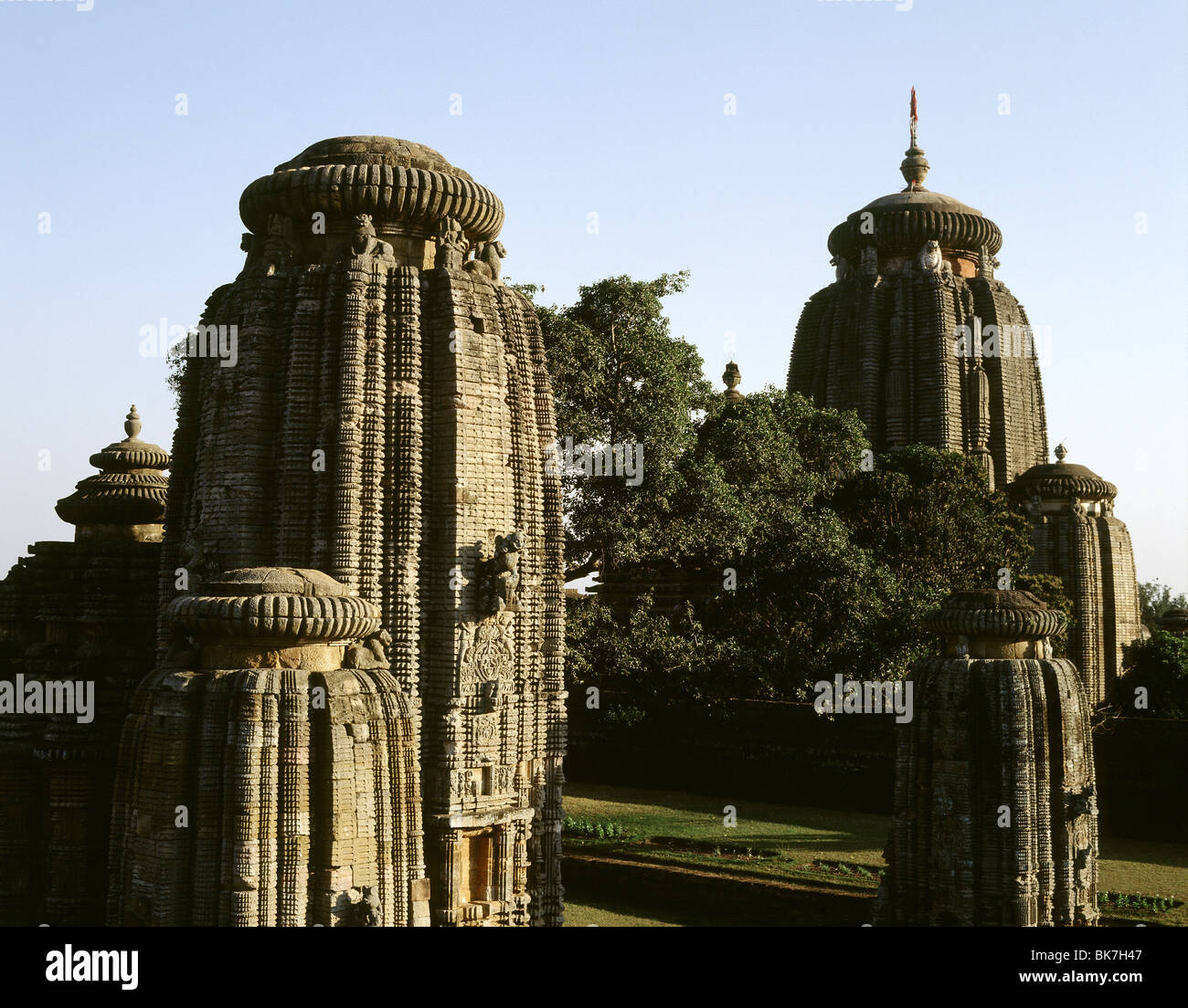 Lingaraja Tempel aus der Kalinga-Zeit des 11. Jahrhunderts, Bubaneshwar, Orissa, Indien, Asien Stockfoto