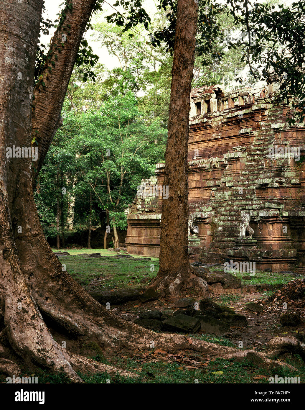 Pimeanakas Tempel, Angkor Thom, Angkor, UNESCO World Heritage Site, Kambodscha, Indochina, Südostasien, Asien & #10, Stockfoto