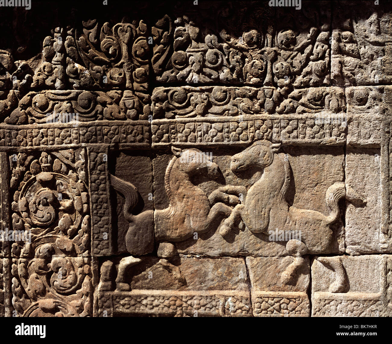 Relief von Pferden aus dem 11. Jahrhundert Baphuon, Angkor, UNESCO-Weltkulturerbe, Kambodscha, Indochina, Südostasien, Asien Stockfoto