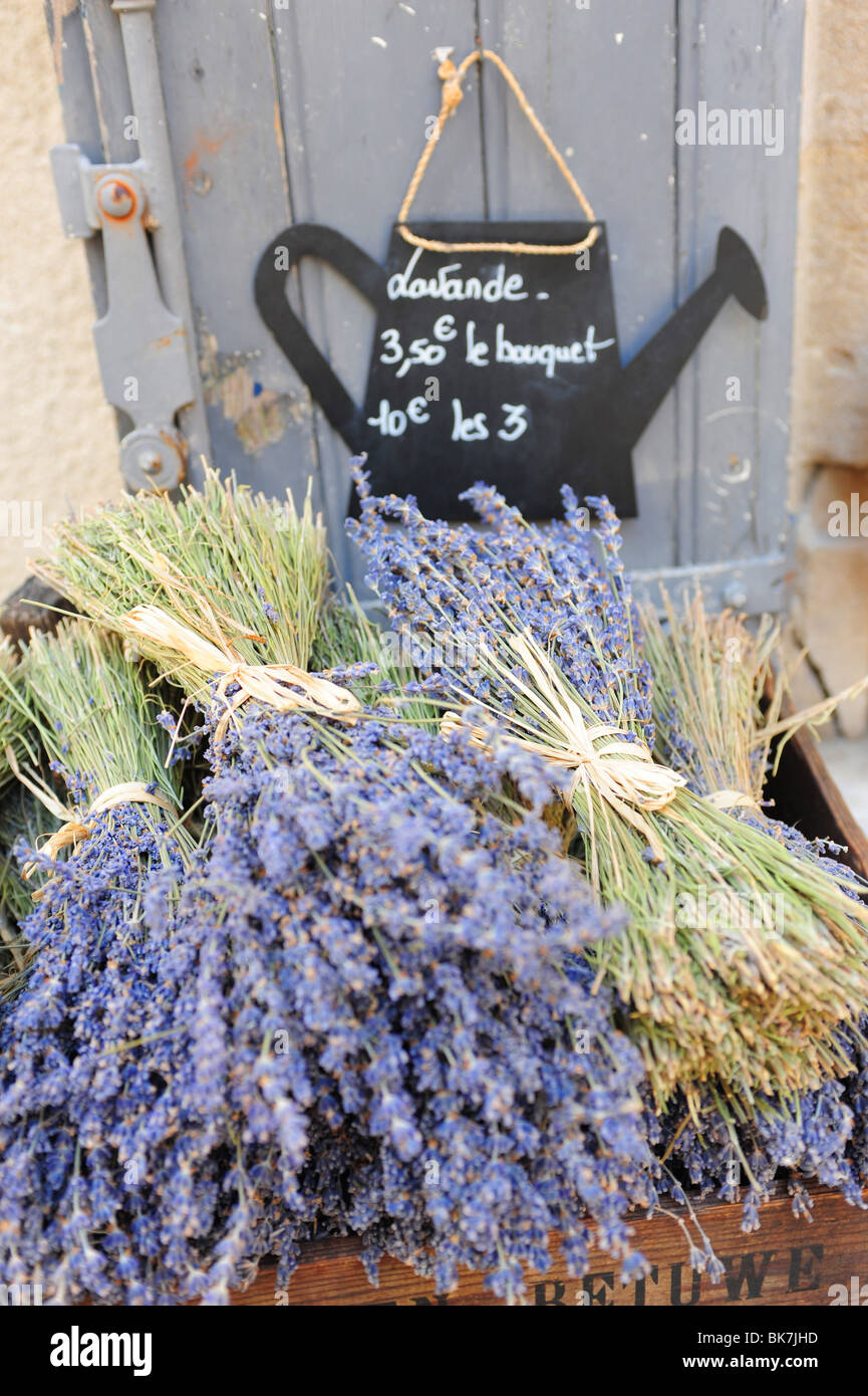 Frankreich Provence Region Französisch Les Baux Lavendel zum Verkauf in Trauben Stockfoto
