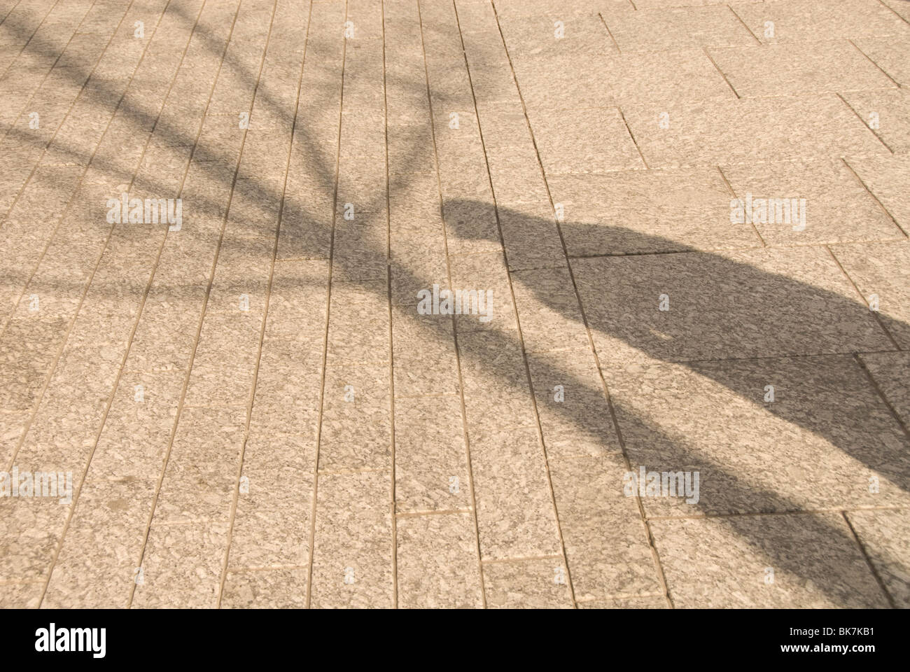 Schatten von einer menschlichen Figur und einem blattlosen Baum auf dem Bürgersteig oder Gehsteig. Stockfoto