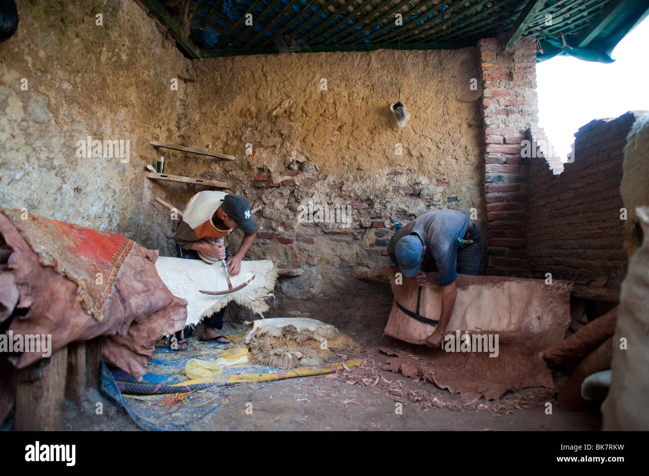 Gerber Scheren der Schafe Haut an Gerberei, Tetouan, Marokko. Stockfoto