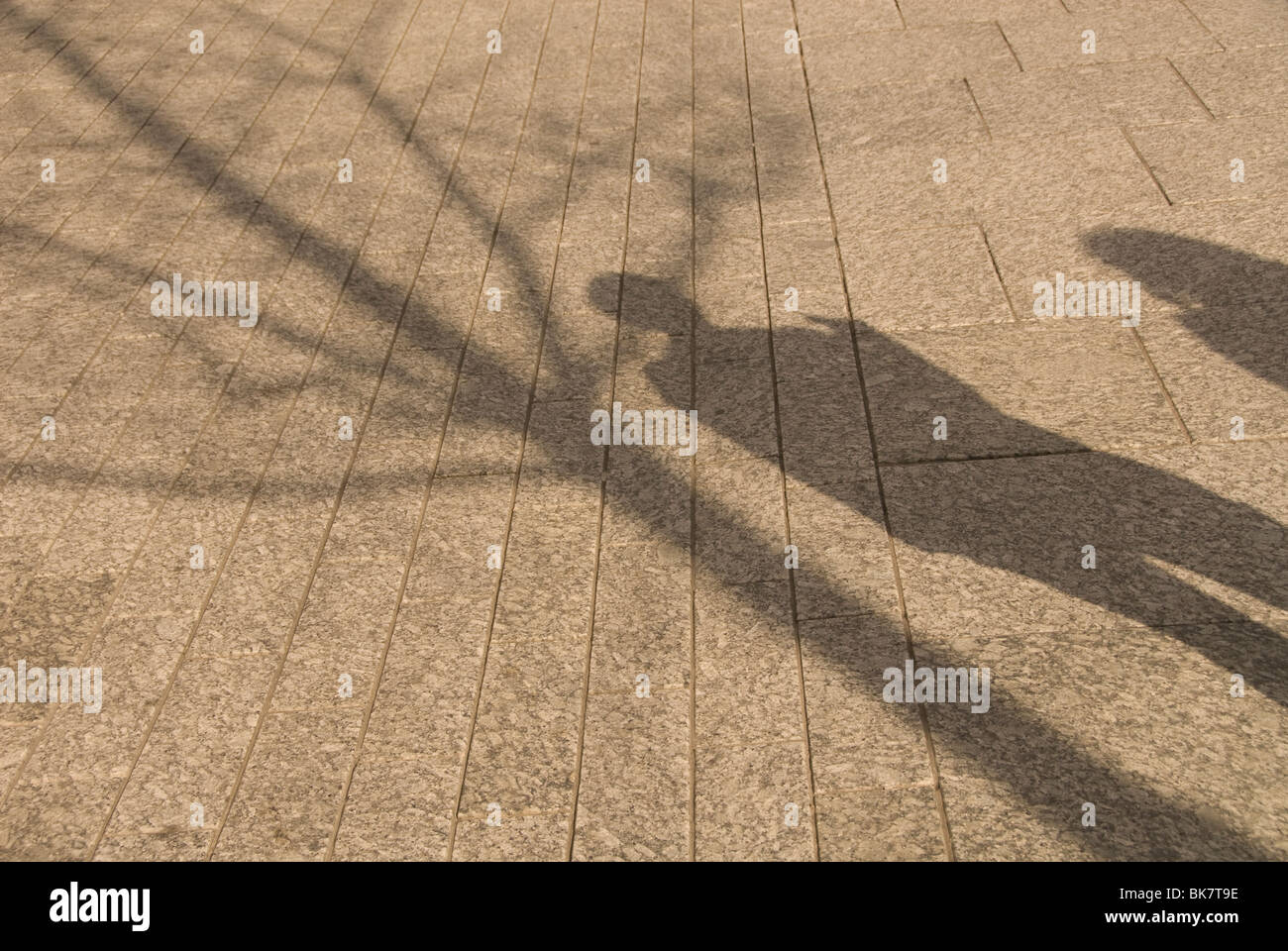 Schatten von einer menschlichen Figur und einem blattlosen Baum auf dem Bürgersteig oder Gehsteig. Stockfoto