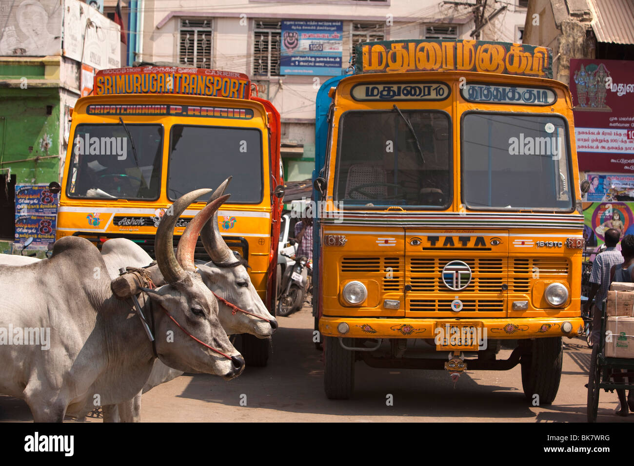 Indien, Tamil Nadu, Madurai, Straßenverkehr, Ochsekarre vorbei Schwertransport LKW Stockfoto