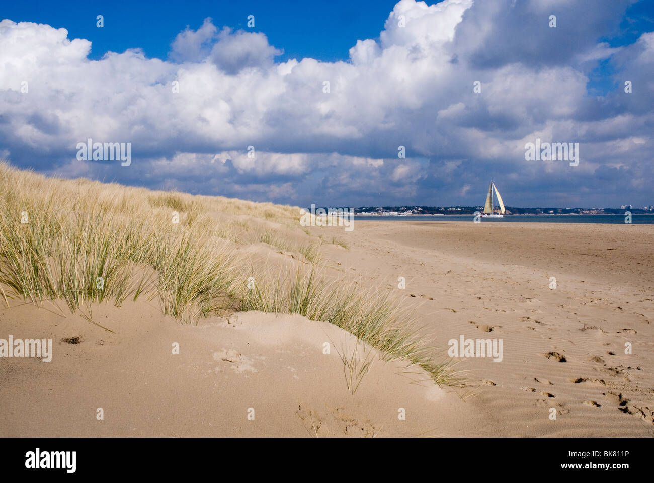 Sanddünen und Gräser mit Yacht, Studland Bay, Dorset, Großbritannien Stockfoto
