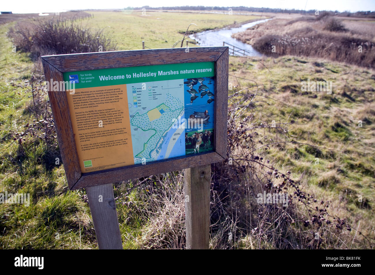 Hollesley Sümpfe RSPB Infotafel, Suffolk Stockfoto