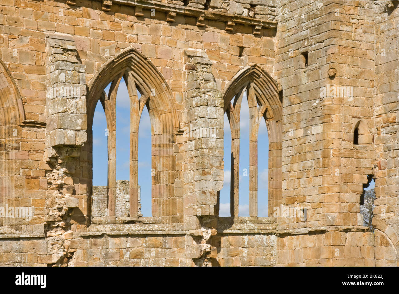 Die Ruinen von Egglestone Abbey, Teesdale, County Durham, Großbritannien Stockfoto