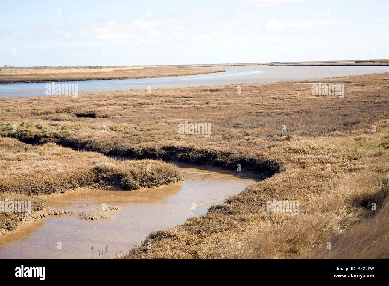 Havergate Insel, Fluss Ore Orford Ness spucken, Salzwiesen, Suffolk Stockfoto