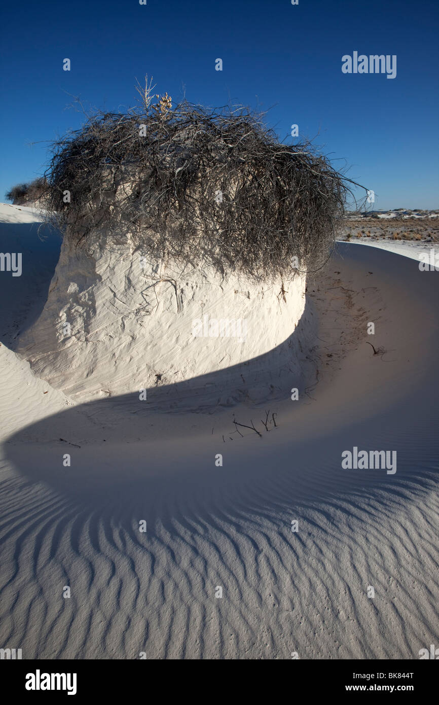 Windgeformter Sand, White Sands National Park, New Mexico Stockfoto