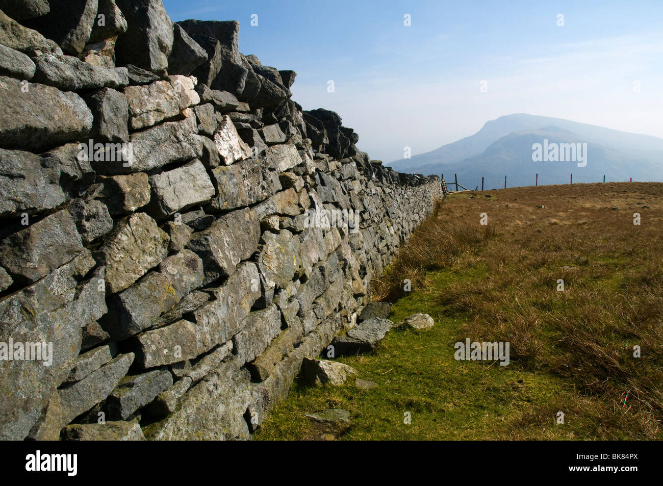 MOEL Hebog aus Mynydd Tal-y-Mignedd, Nantlle Ridge, Snowdonia, North Wales, UK Stockfoto