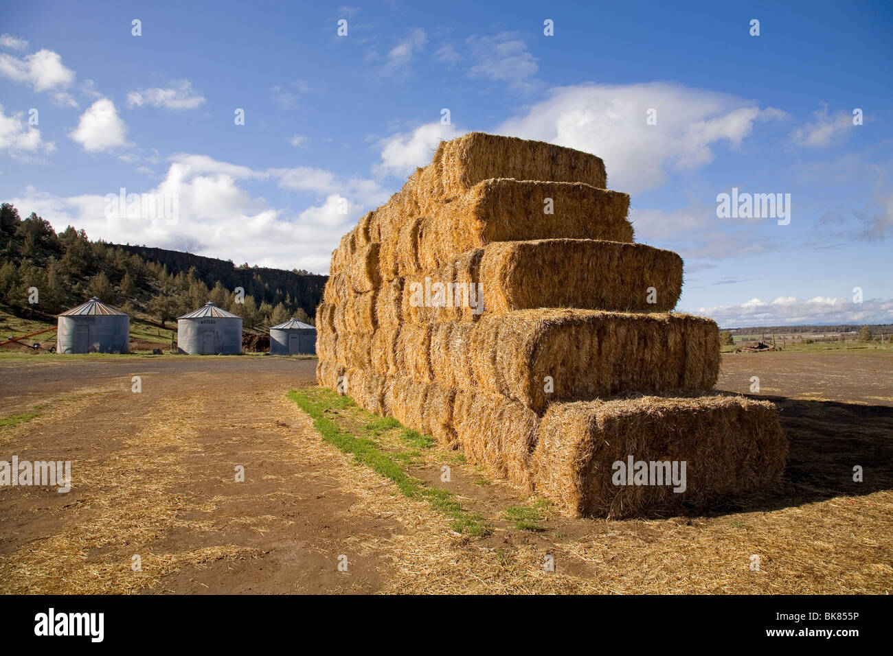 Riesige Heuballen Rasen gestapelt auf eine große Rinderfarm in Zentral-Oregon. Stockfoto