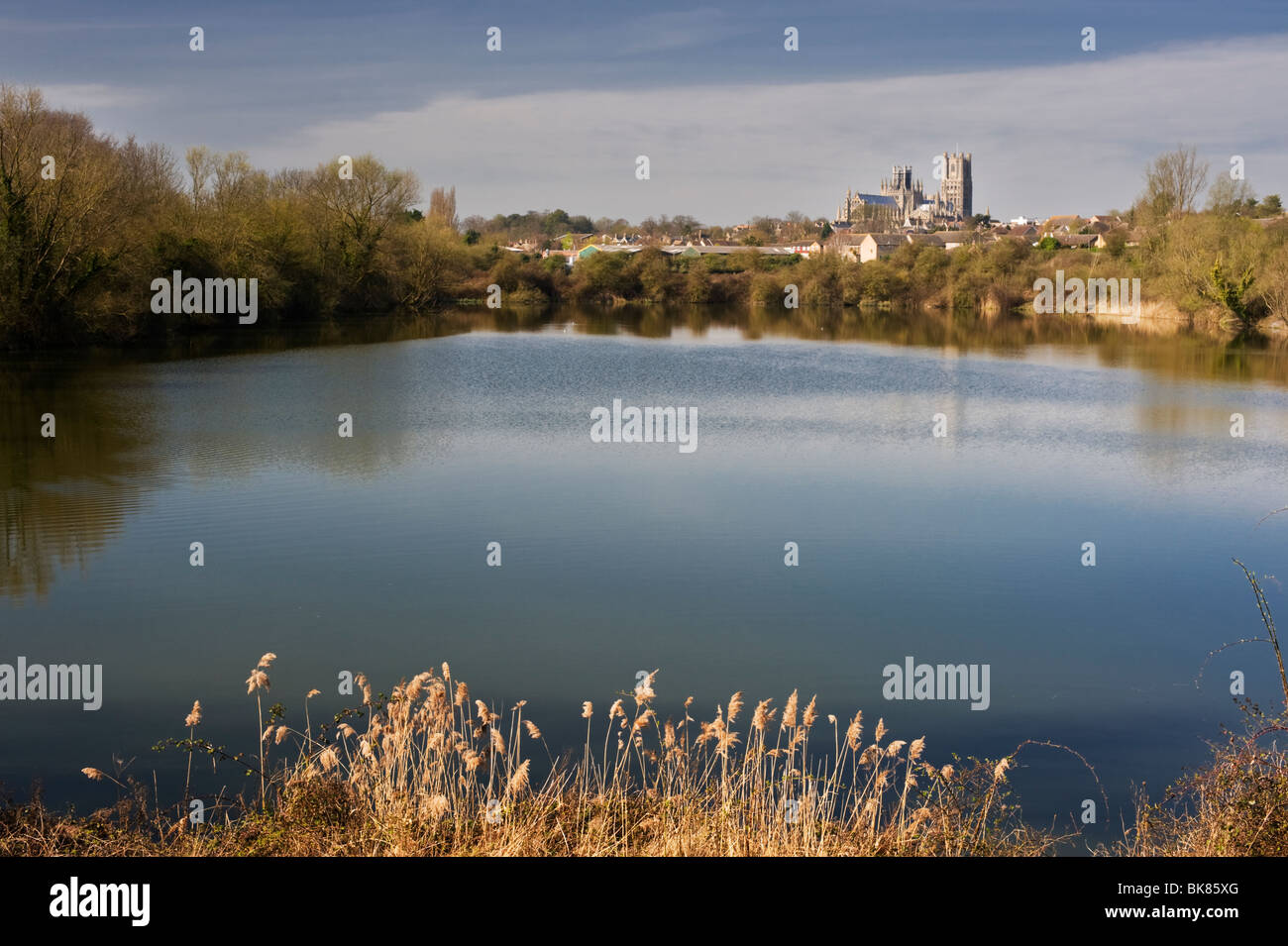 Roswell Gruben Nature Reserve, Ely, Cambridgeshire, mit Ely Kathedrale im Hintergrund Stockfoto