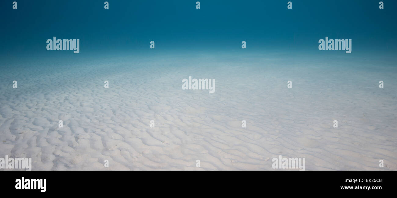 Der Sandboden am Tauchplatz Invisibles in Bonaire, Niederländische Antillen. Stockfoto