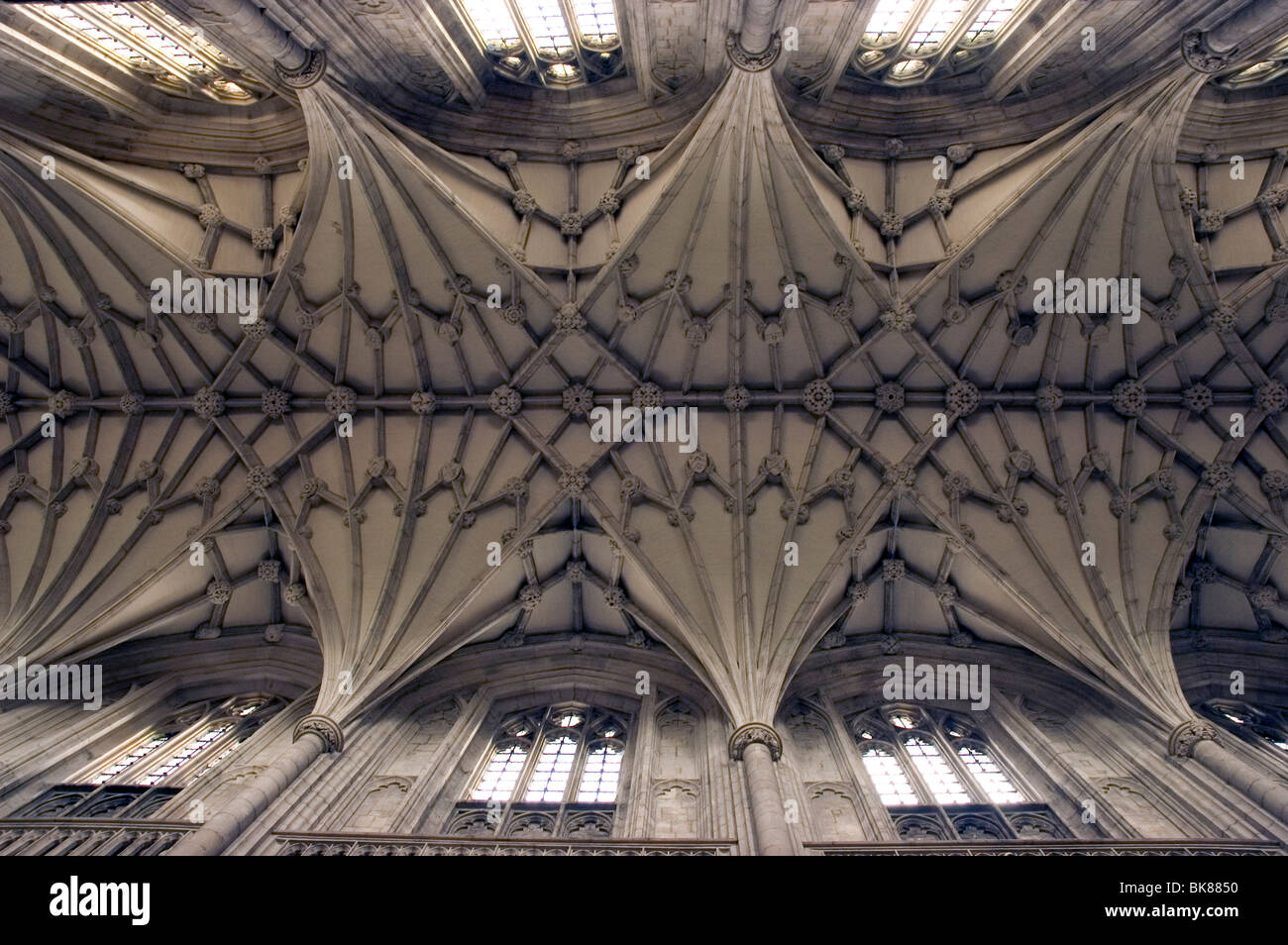 Winchester Kathedralendecke Stockfoto