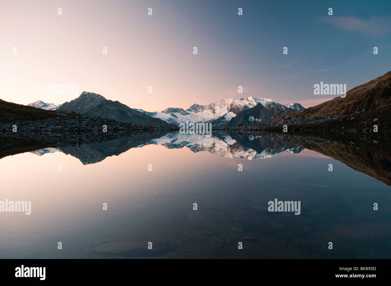 Hochfeiler Berg spiegelt sich in Friesenbergsee See im Hochgebirgs-Naturpark Zillertaler Alpen, Österreich, Europa Stockfoto