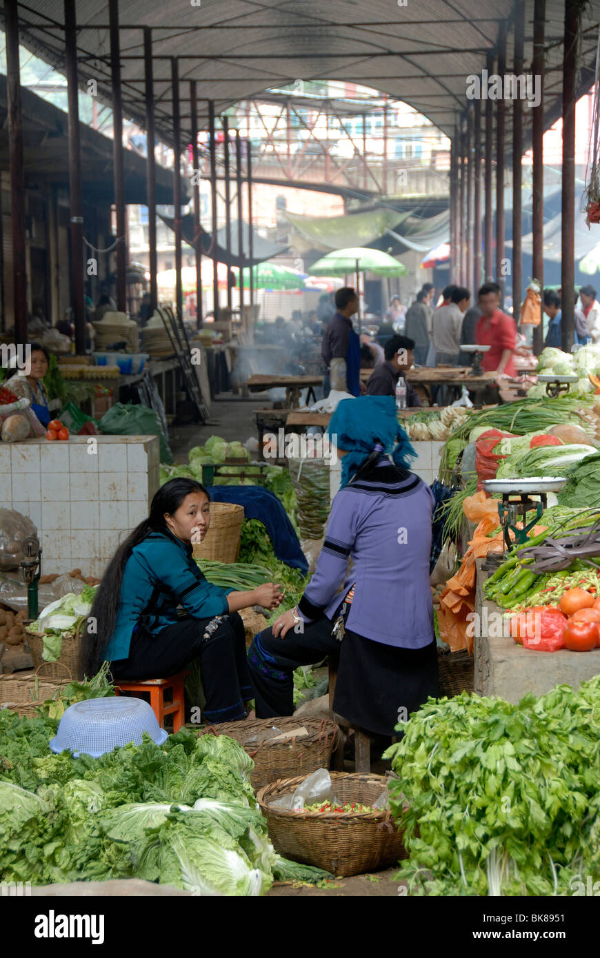 Marktfrauen der Hani ethnische Gruppe Hocke zwischen Gemüse, Markt, Markt, Markthalle, Xinji, Yuanyang Stockfoto