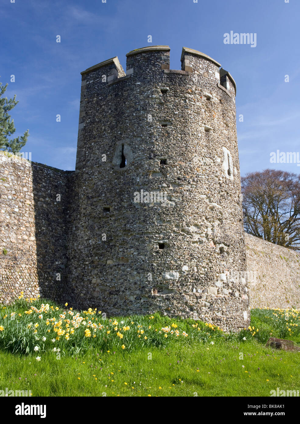 Canterburys Stadtmauer und Wachturm in Canterbury, Kent, UK. Stockfoto