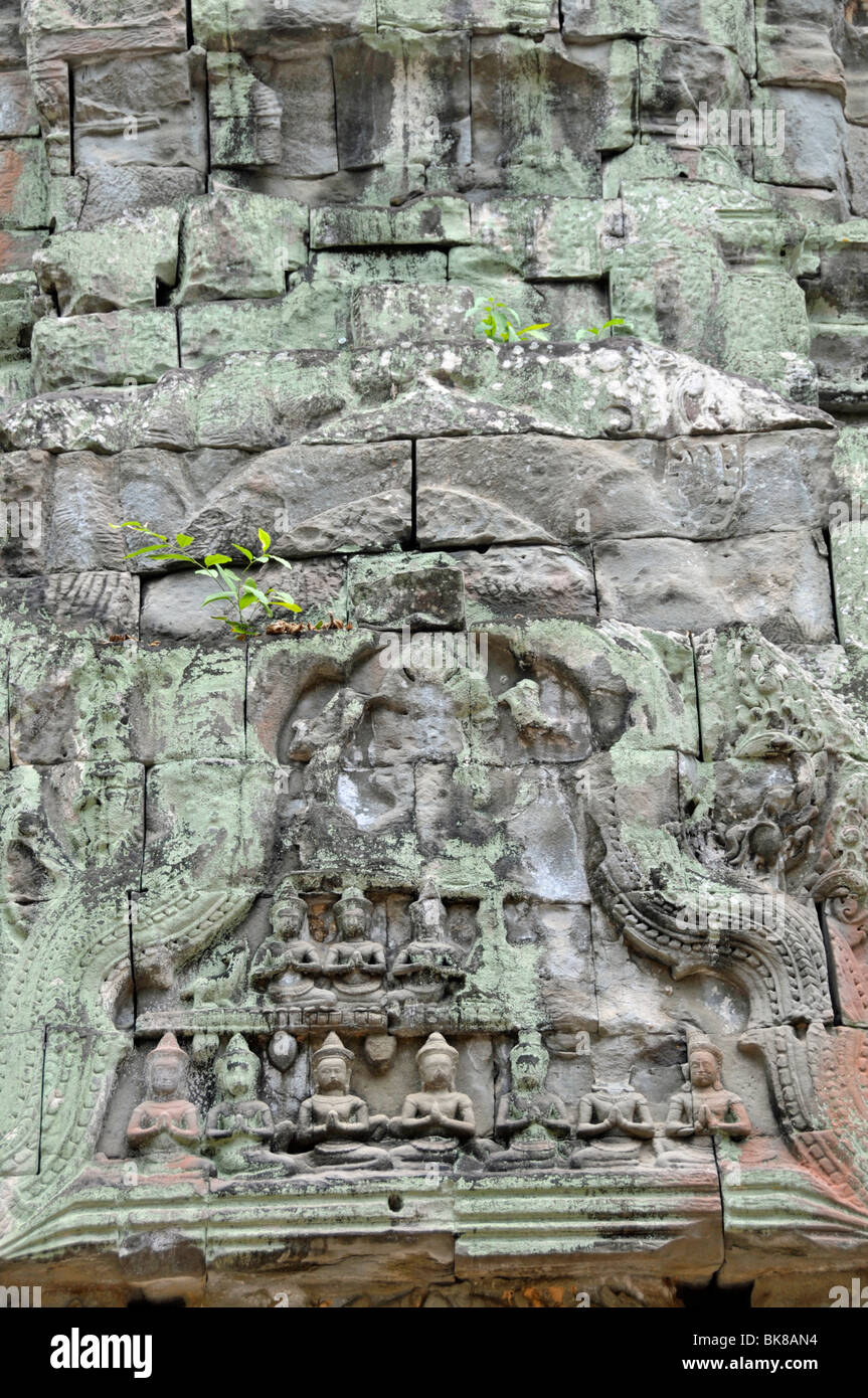 Relief in den Ruinen der Tempelanlage von Ta Prohm, Angkor Thom, UNESCO-Weltkulturerbe, Siem Reap, Kambodscha, Asien Stockfoto