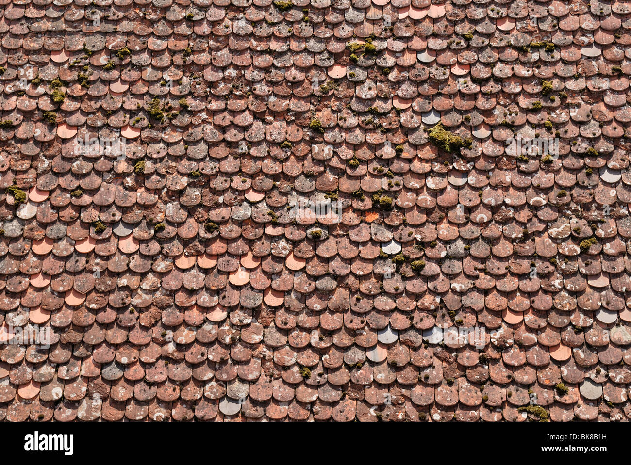 Dachziegeln mit alten tail Beaver Fliesen, Detail, Rothenburg Ob der Tauber, Bayern, Deutschland, Europa Stockfoto