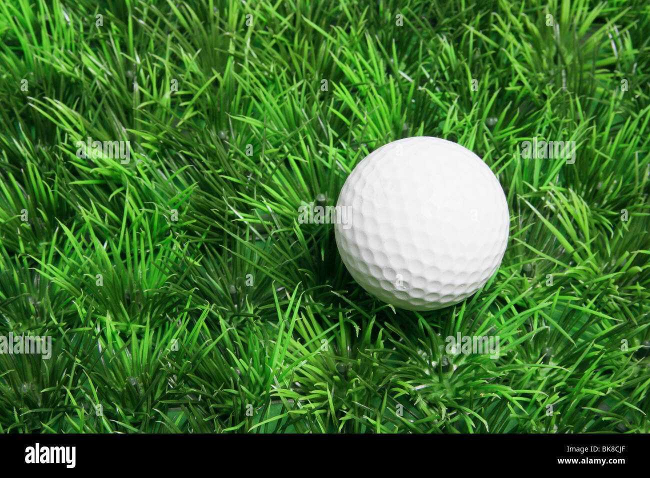 Golfball auf dem Rasen Stockfoto