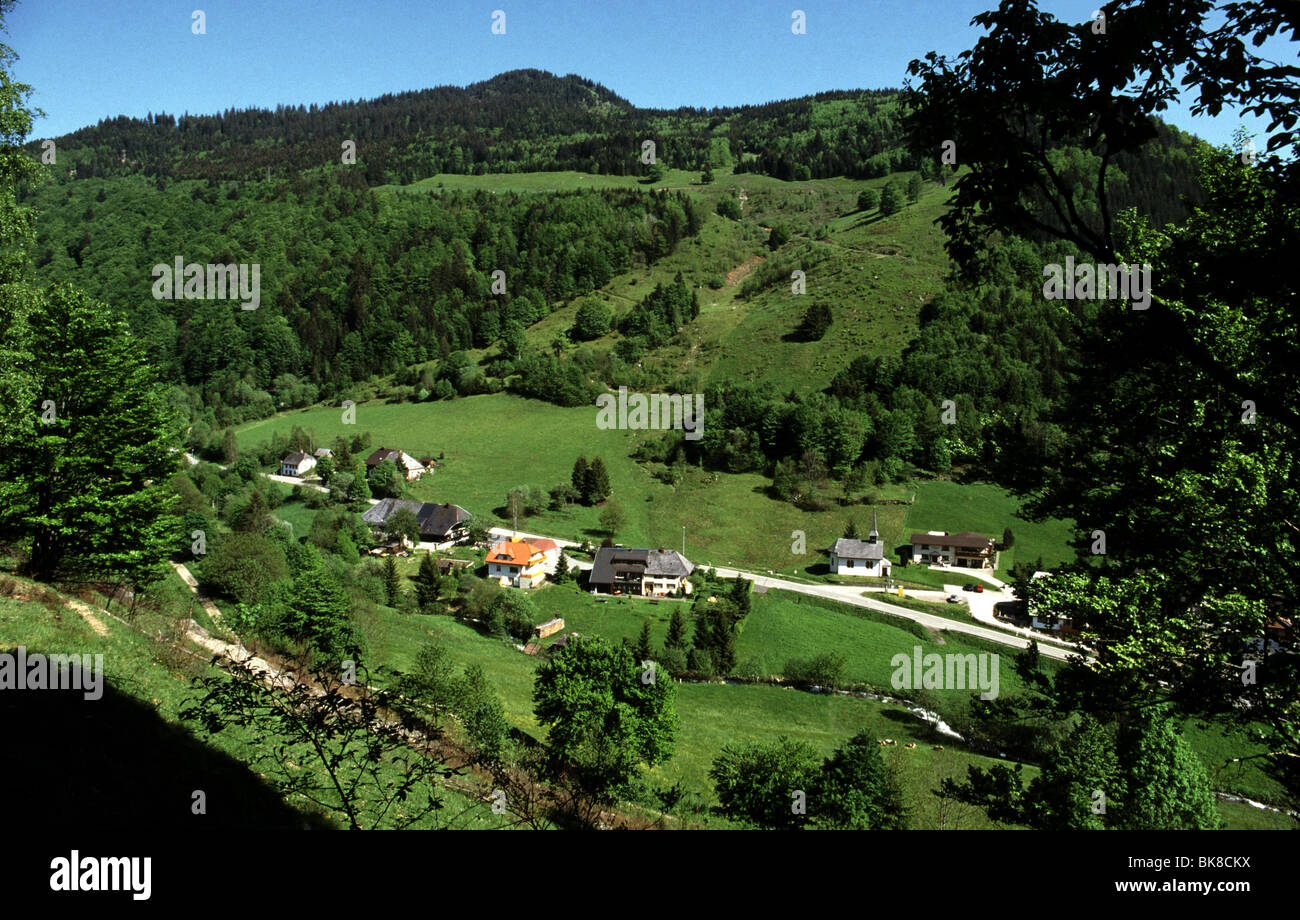 Schwarzwald, tagsüber Blick Stockfoto