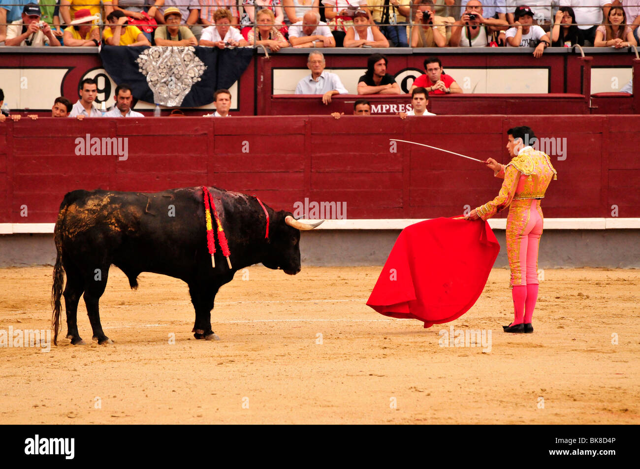 Torero, Matador, mit einem scharlachroten Kap Muleta, Schwert, und Estoque, bereit für den Kill in Las Ventas Stierkampfarena, Madrid, Spai Stockfoto