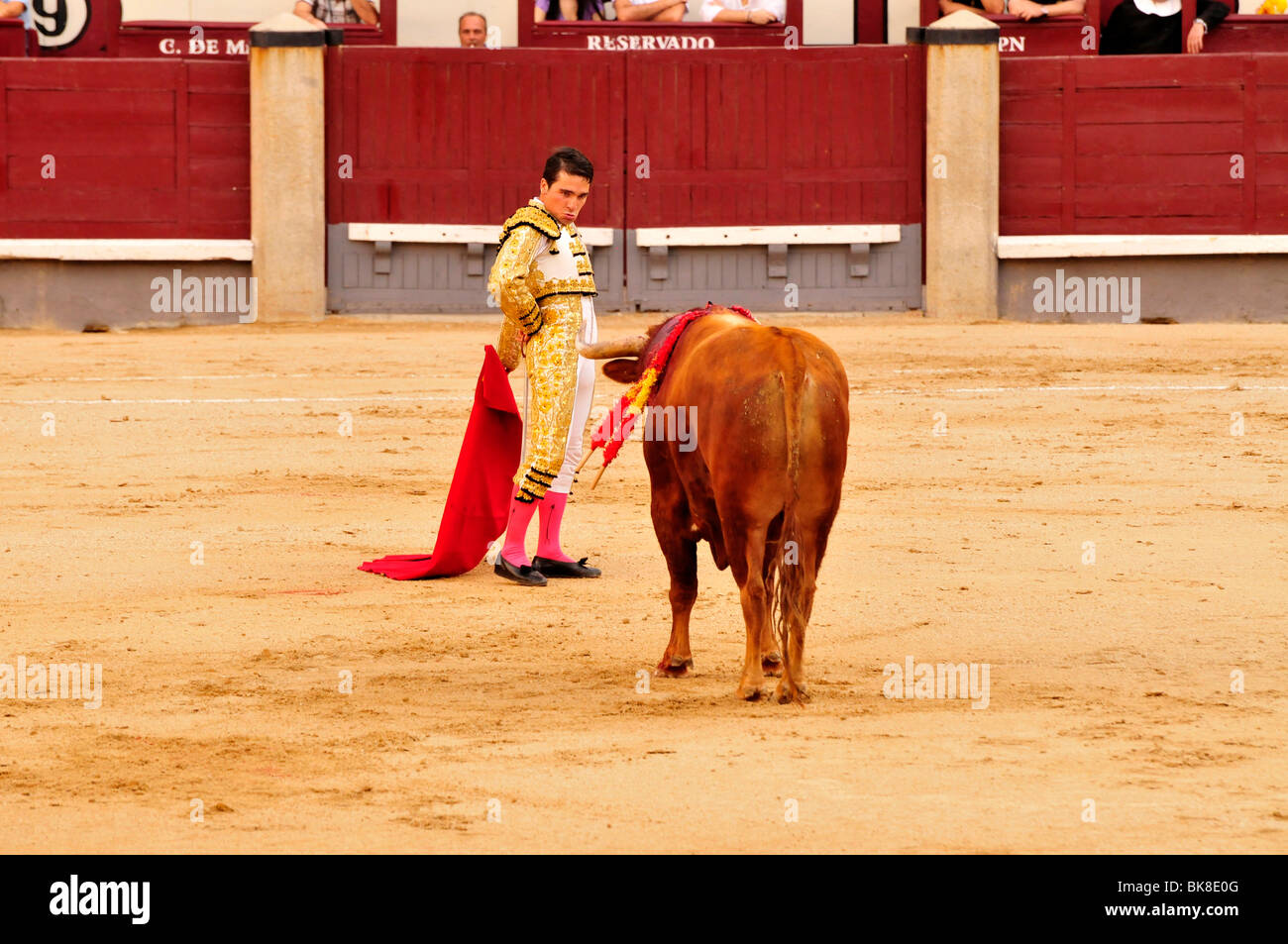 Torero, Matador, mit einem roten Umhang, Muleta und Schwert, Estoque in Las Ventas Stierkampfarena, Madrid, Spanien, Iberische Halbinsel Stockfoto