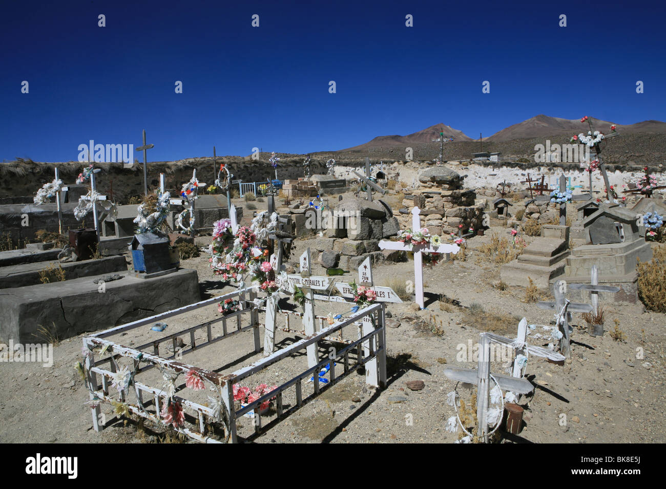 Friedhof der Parinacota, Putre Chile Stockfoto