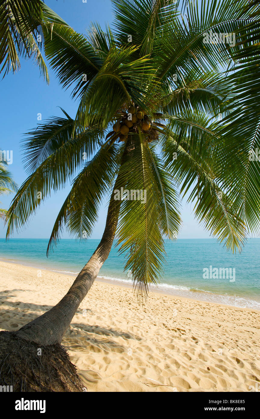 Mae Nam Beach, Ko Samui Insel, Thailand, Asien Stockfoto