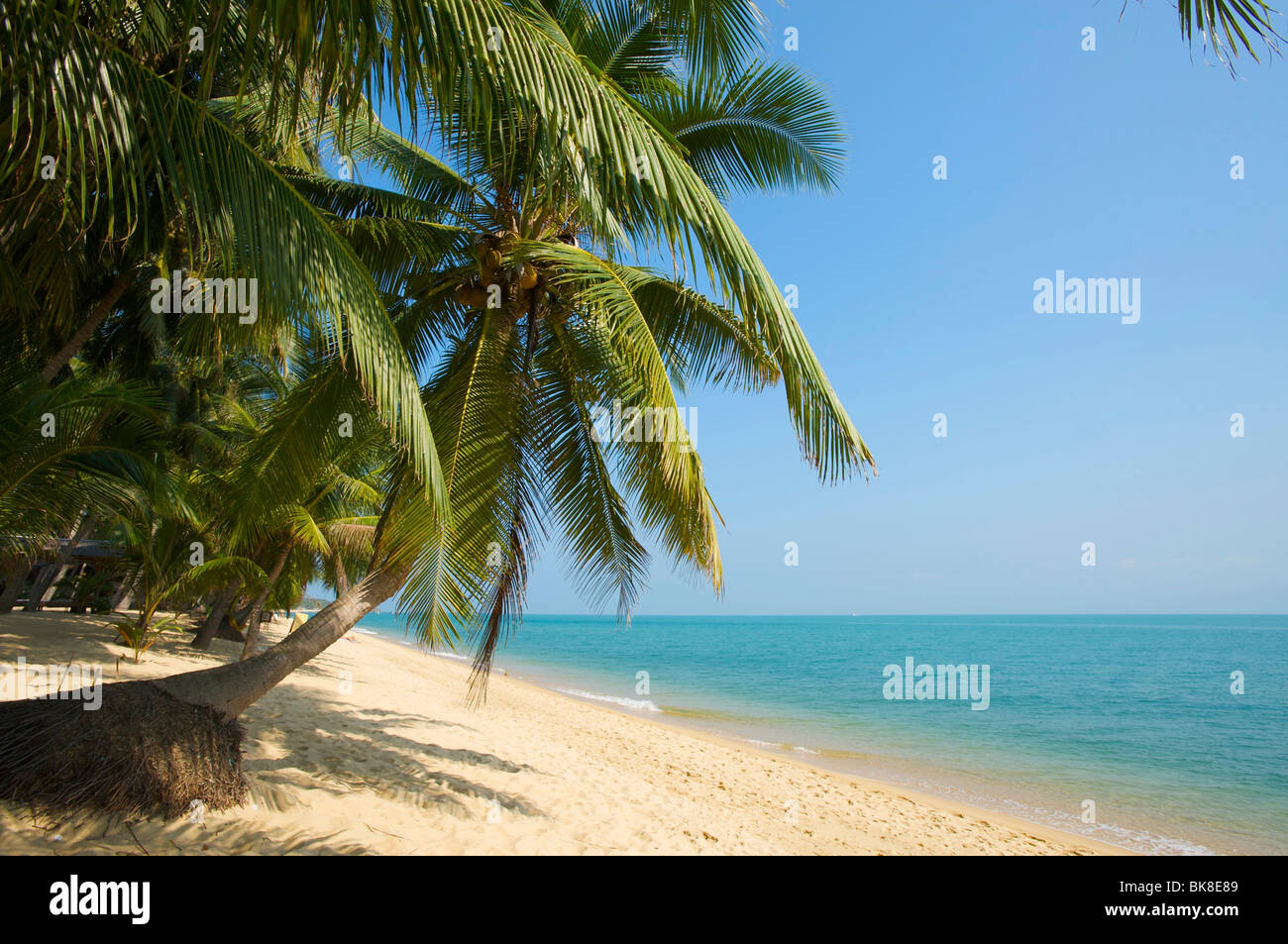 Mae Nam Beach, Ko Samui Insel, Thailand, Asien Stockfoto