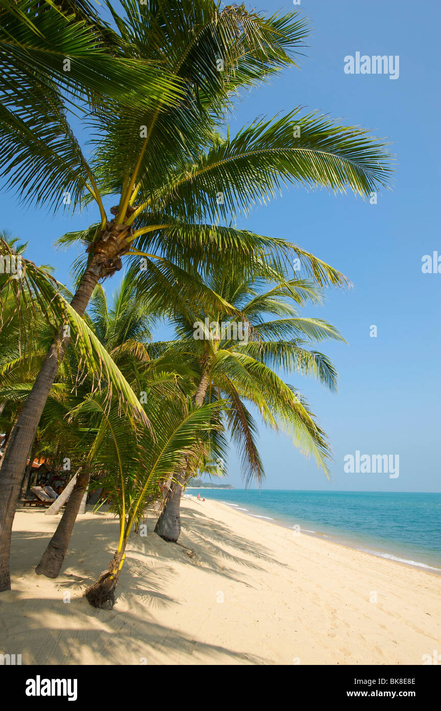 Mae Nam Beach, Ko Samui Insel, Thailand, Asien Stockfoto