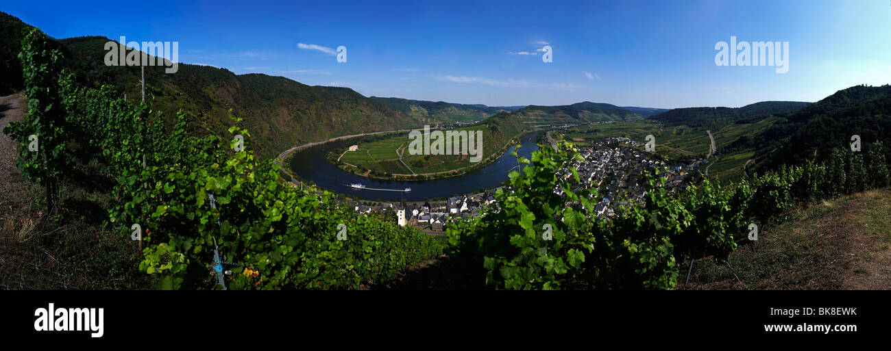 Sinuosity von der Mosel am Calmont Weinberg in der Nähe von Bremm, Rheinland-Pfalz, Deutschland, Europa Stockfoto