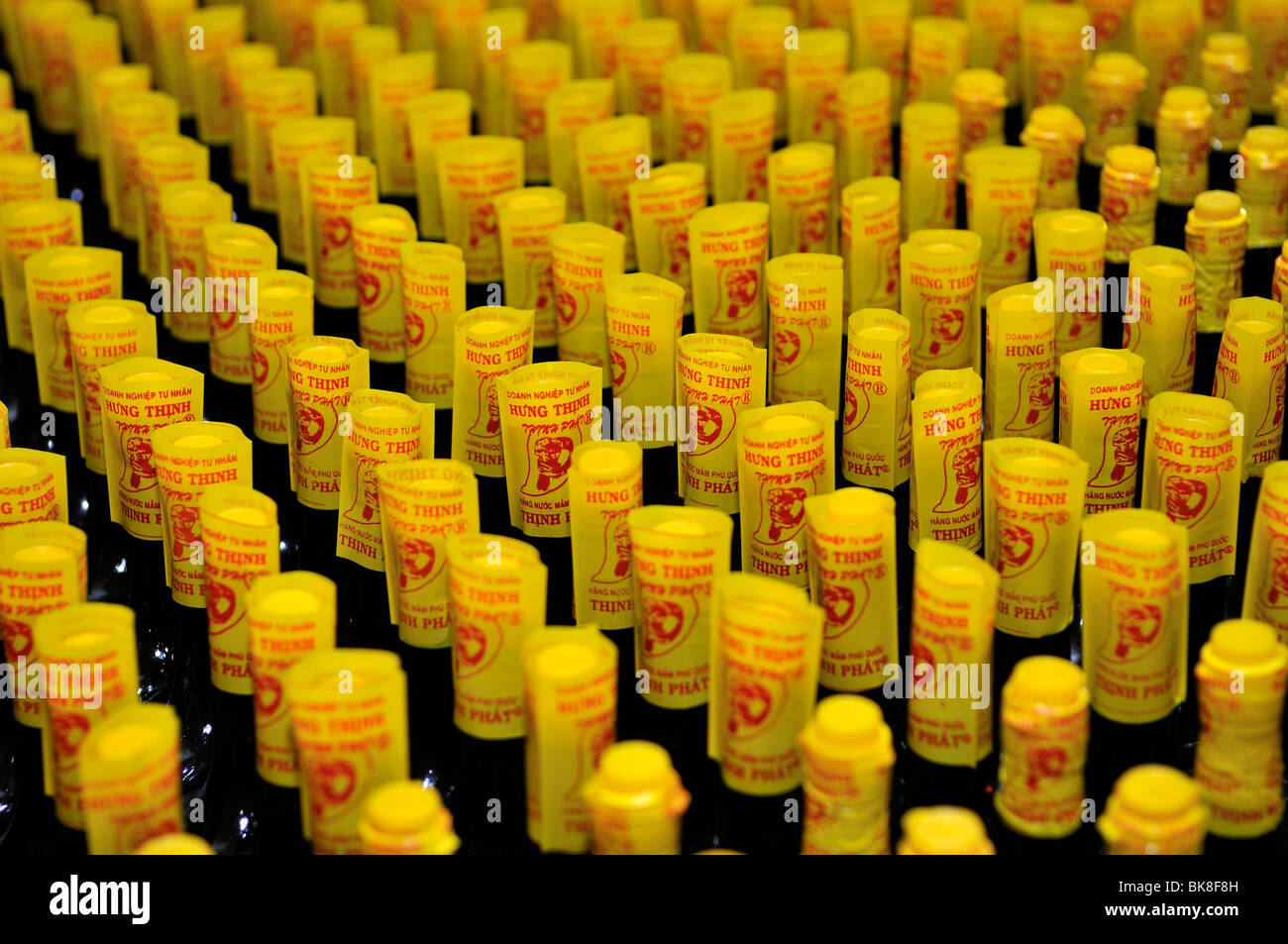 Glasflaschen mit gelben Kunststoff-Kappe mit dem traditionellen vietnamesischen Fisch sauce Nuoc Mam, Phu Quoc, Vietnam, Asien Stockfoto