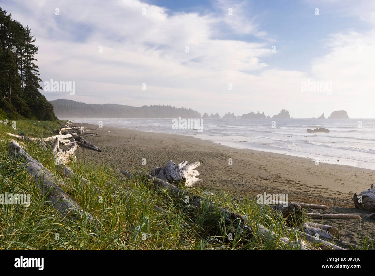 Shi Shi Beach, Westküste, Olympische Halbinsel, Washington, USA Stockfoto