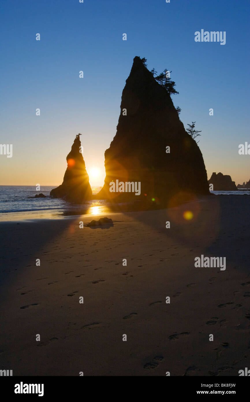 Meer-Stacks bei Sonnenuntergang, Rialto Strand, Westküste, Olympic Peninsula, Olympic Nationalpark, Washington, USA Stockfoto